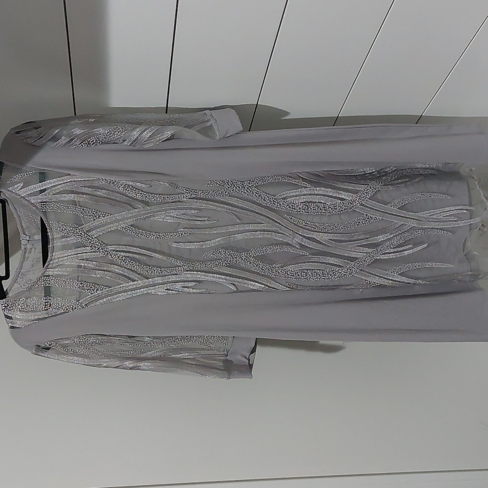 Like New Silver Women's occasion dress